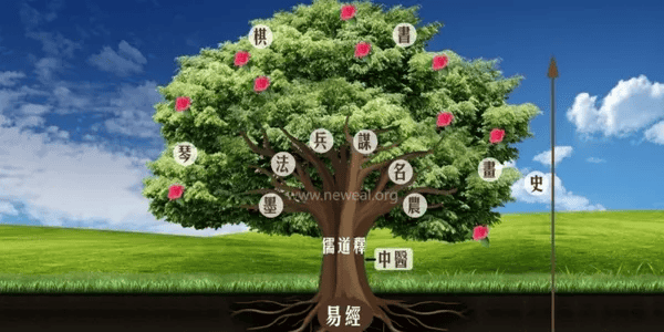 国学之树