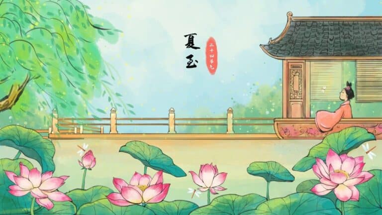 【新易公益】夏至｜太阳的北回归线日记