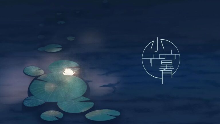 【新易公益】小暑｜荷风起时夏渐浓